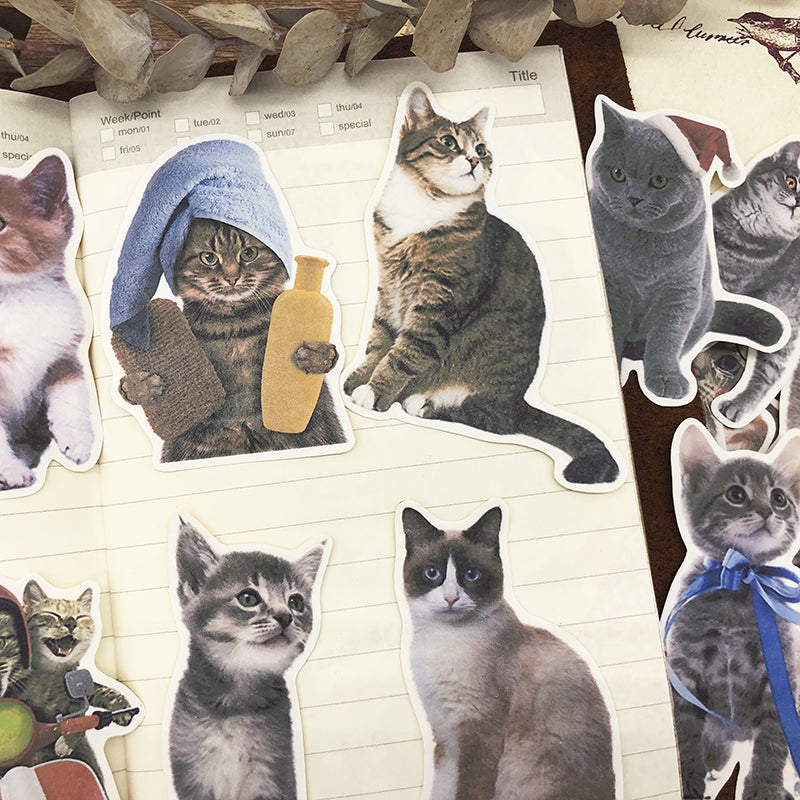 Cute Pet Animal Hand Book Sticker