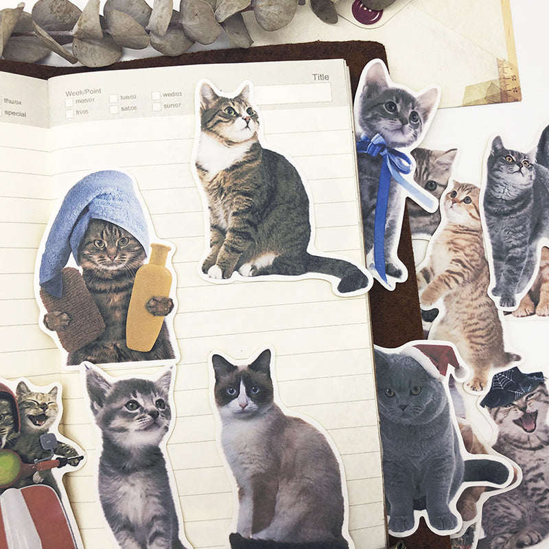 Cute Pet Animal Hand Book Sticker