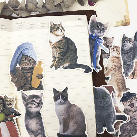 Cute Pet Animal Hand Book Sticker